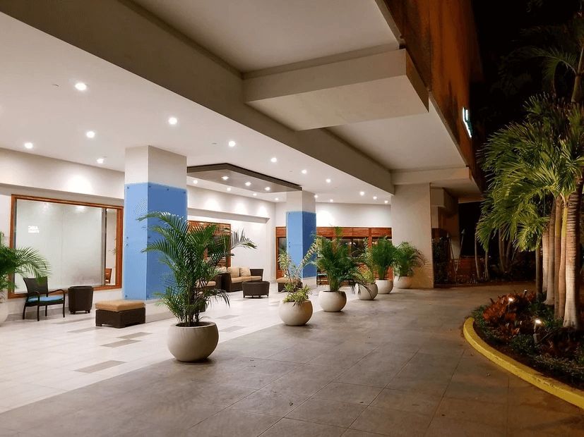 A hotel lobby with lots of potted plants and chairs