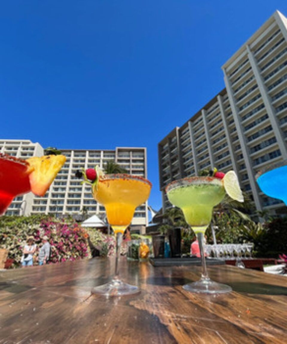 Puerto Vallarta Playa Resort