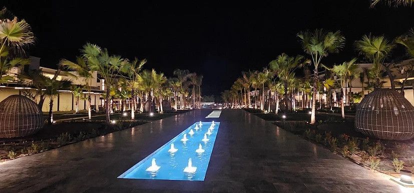 A large swimming pool is surrounded by palm trees at night.