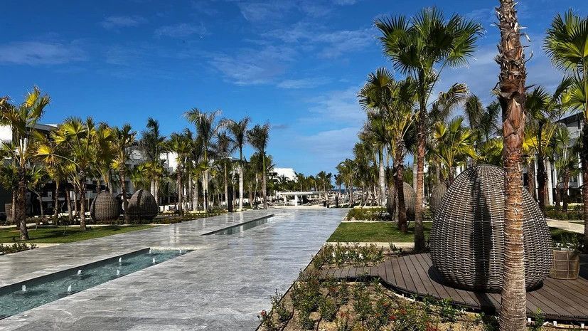 A walkway surrounded by palm trees and a swimming pool