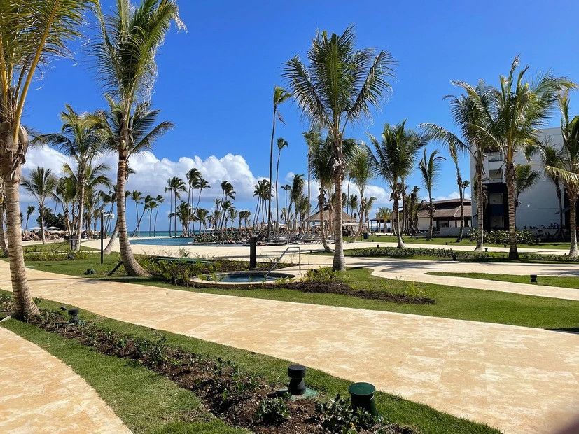 There are a lot of palm trees in this park.