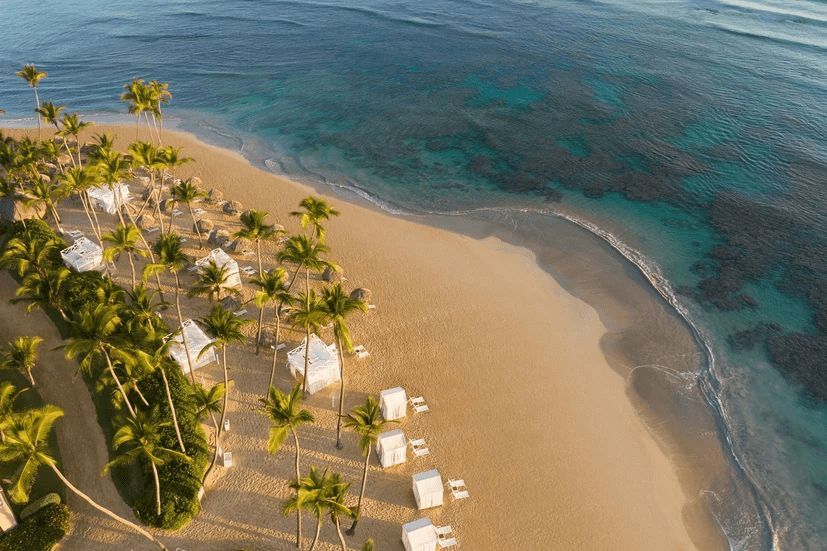 An aerial view of a beach with palm trees and umbrellas.