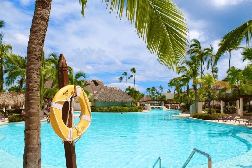 A life preserver is hanging from a palm tree next to a large swimming pool.