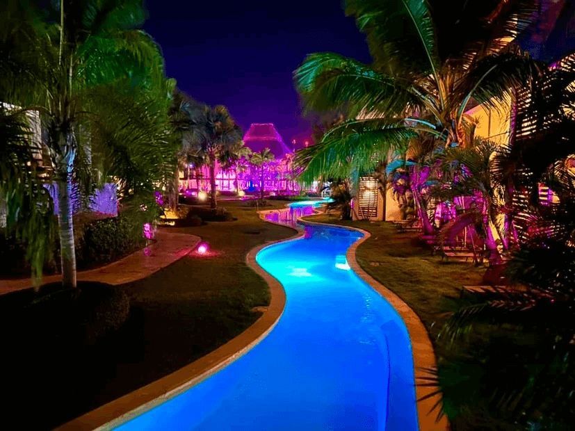 A swimming pool surrounded by palm trees is lit up at night.