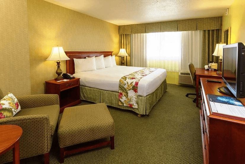A hotel room with a king size bed and a chair