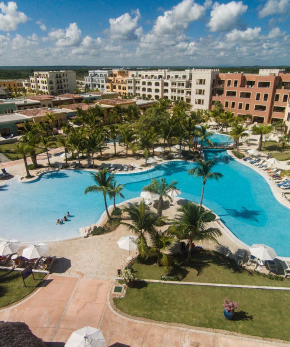 An aerial view of a large swimming pool surrounded by palm trees