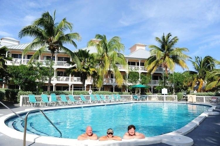 Three people are swimming in a large swimming pool with palm trees in the background