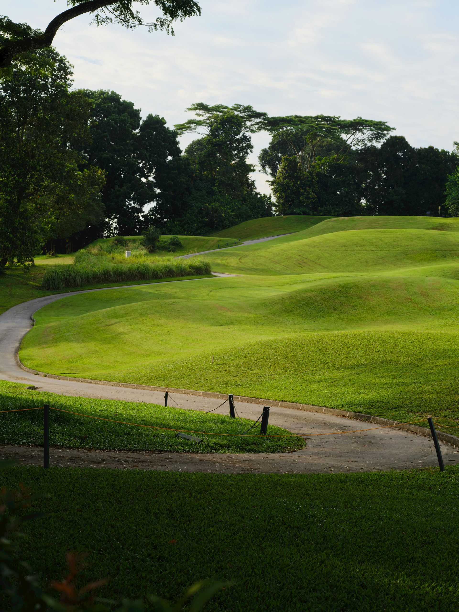 A winding paved path meanders through a lush, rolling green park landscape with scattered trees under a bright sky.