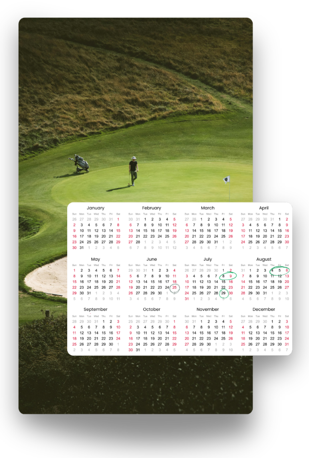 A winding paved path meanders through a lush, rolling green park landscape with scattered trees under a bright sky.