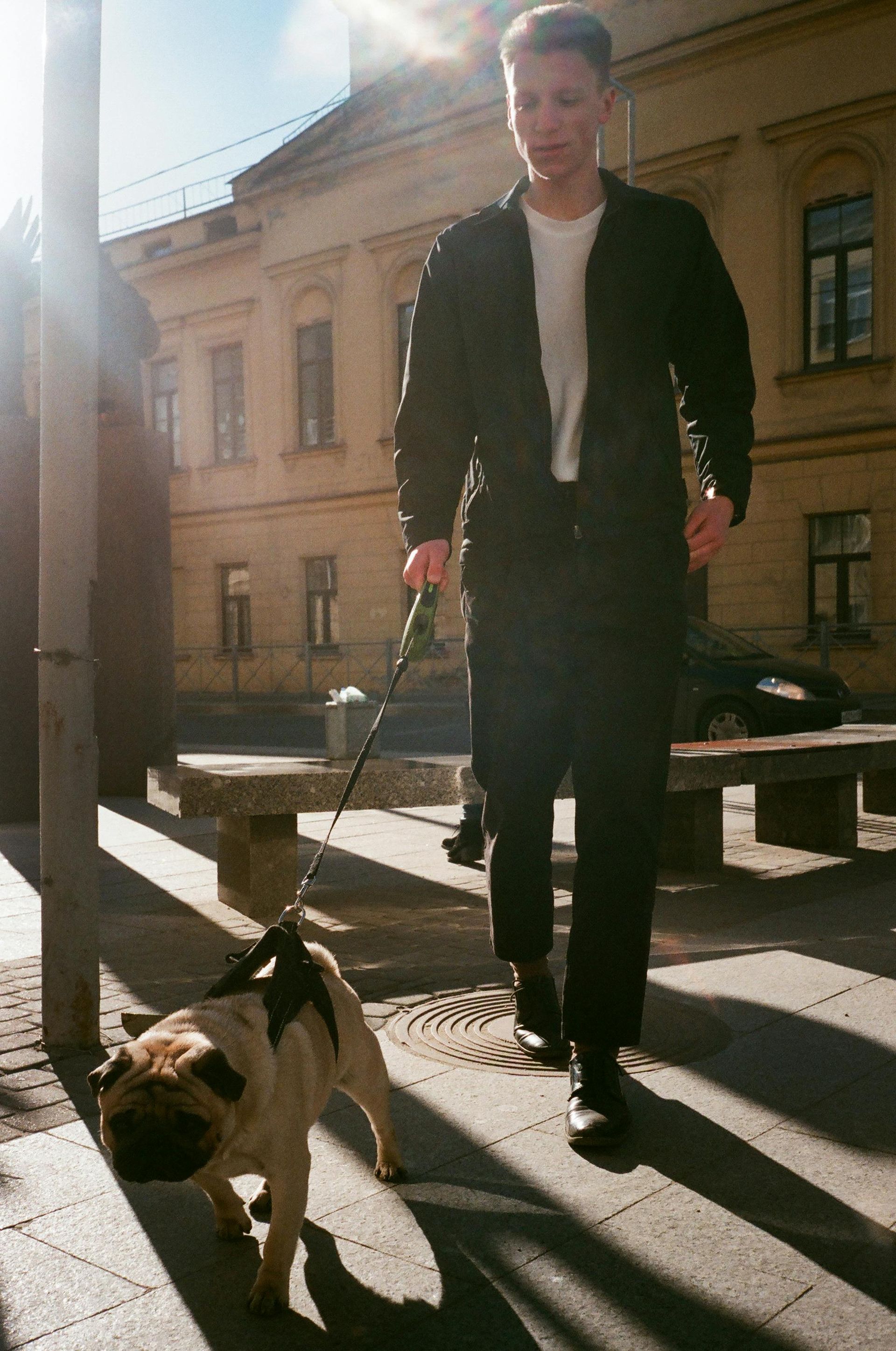 Person walking a dog on a leash in a sunlit urban street with a building in the background