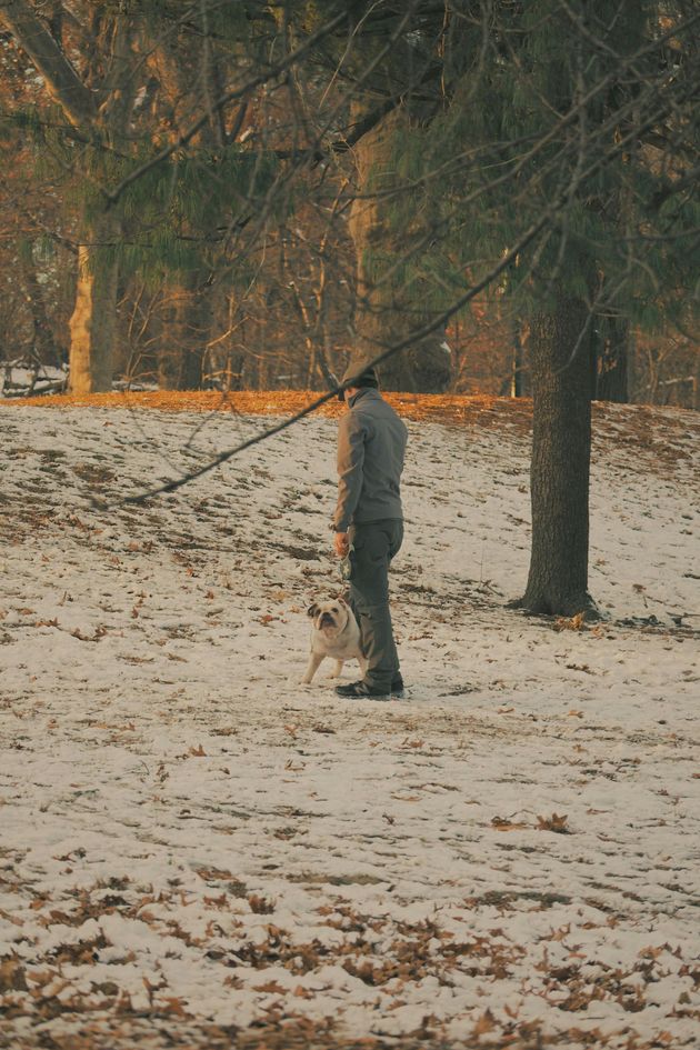 Person standing with a dog in a snowy park with bare trees
