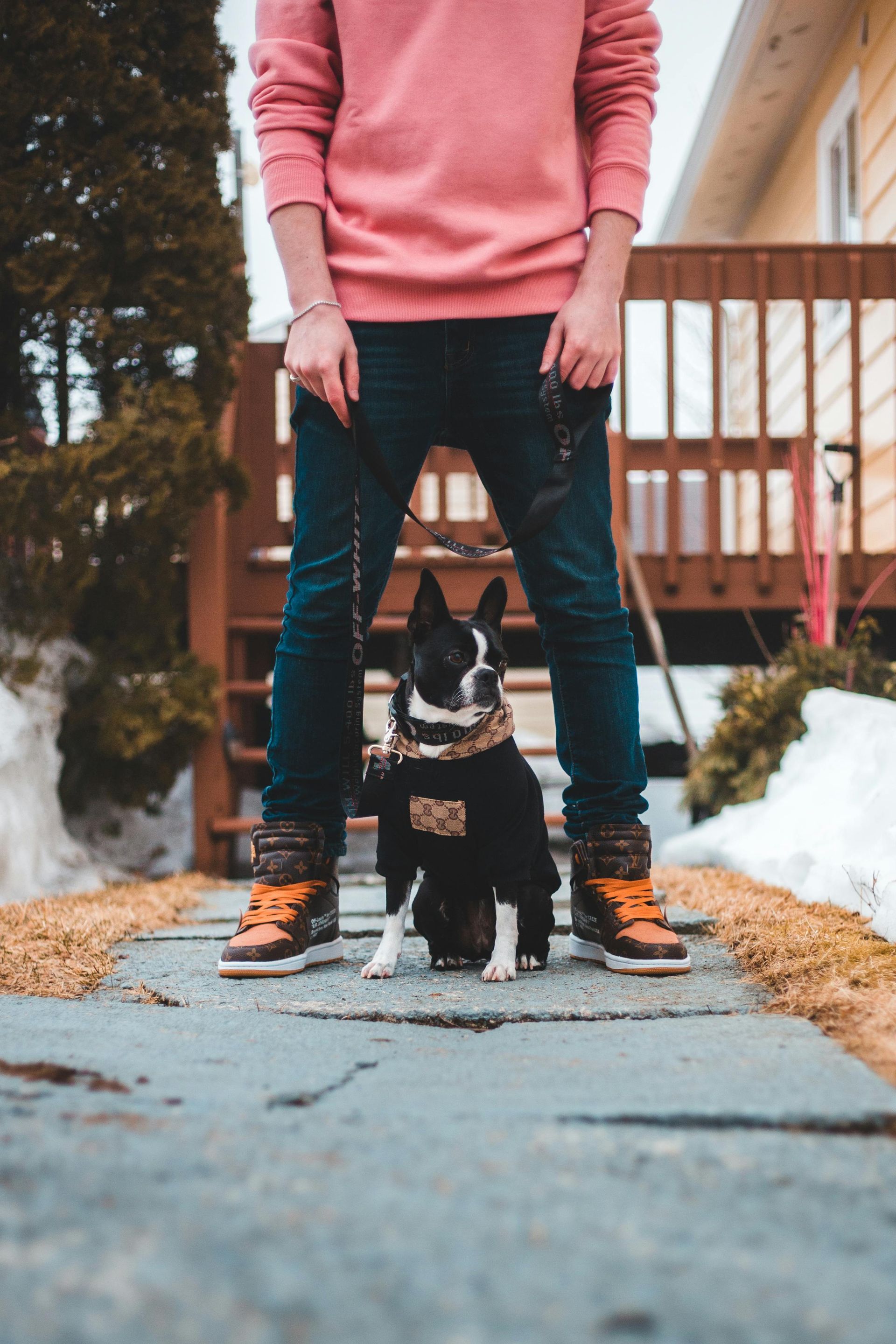 Person in pink sweater standing on a snowy walkway with a small black dog between their legs.