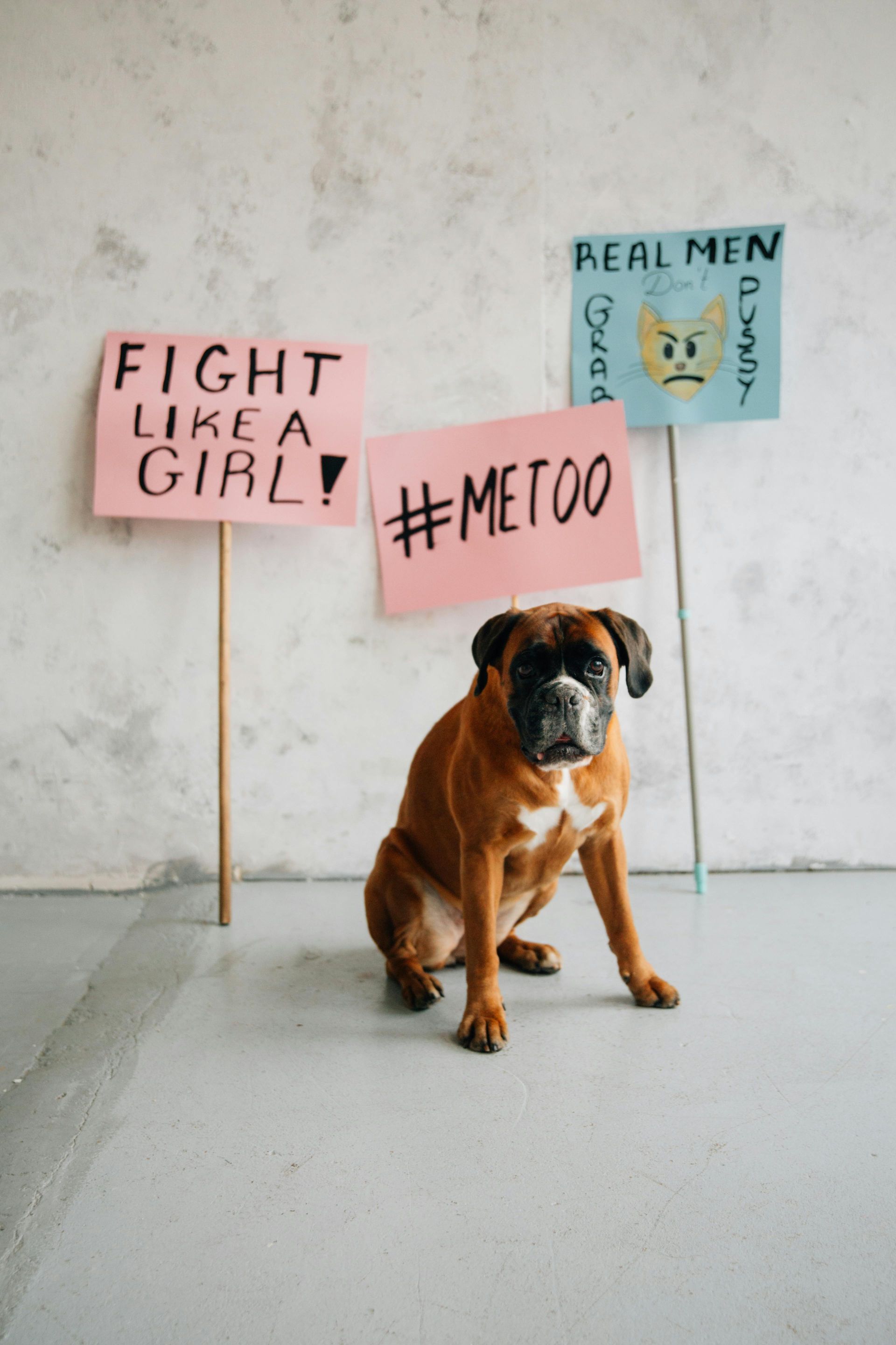 Bulldog sitting before protest signs reading “FIGHT LIKE A GIRL!”, “#METOO,” and “REAL MEN...”
