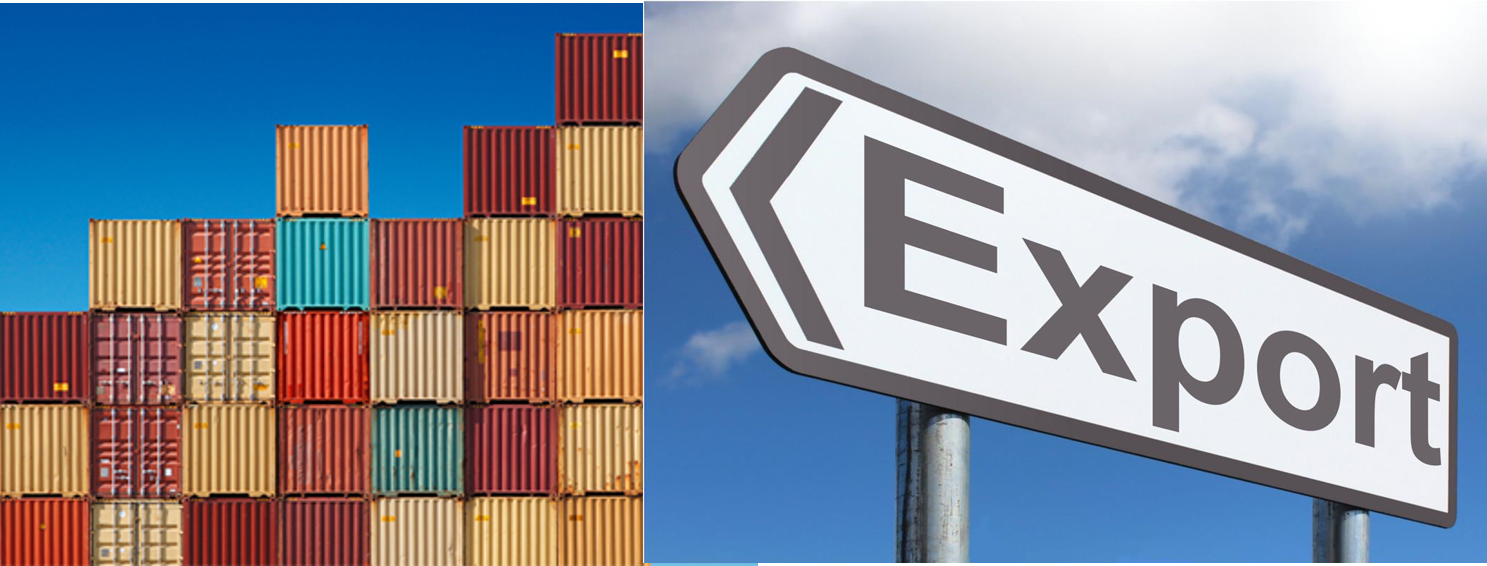 authorised representation