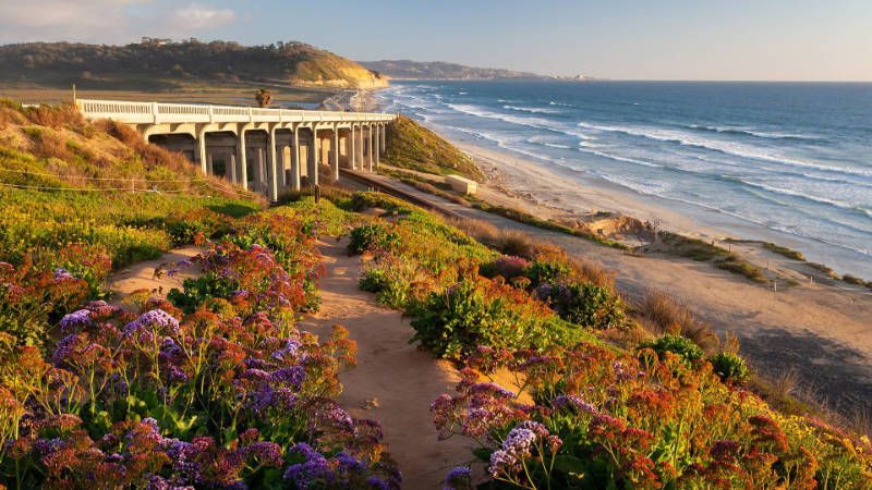 A bridge over a body of water with flowers in the foreground and a beach in the background.