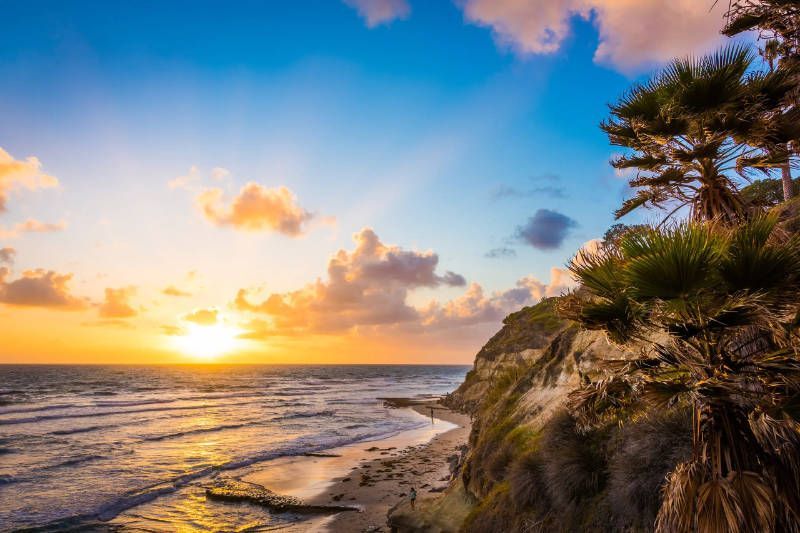 A sunset over the ocean with a cliff in the foreground and trees in the background.