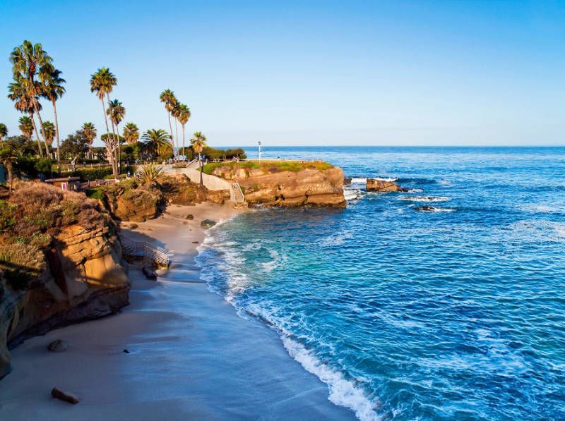 A beach with palm trees and a cliff overlooking the ocean.