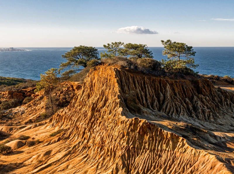 A cliff with trees on top of it overlooking the ocean.