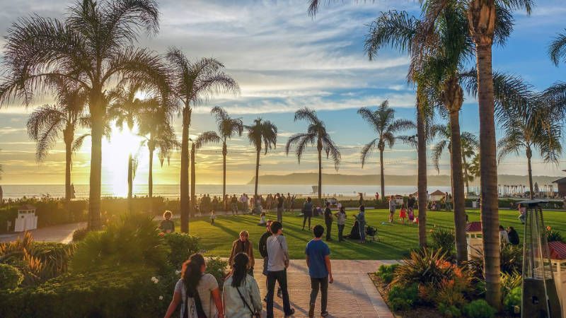 A group of people are walking down a path in a San Diego park with palm trees.