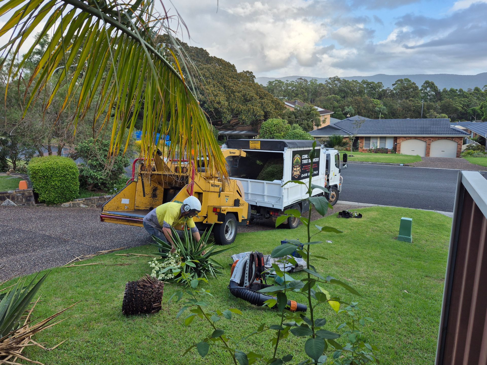 Trucks from Coast Tree Service on a driveway; one with a lift, trees surrounding.