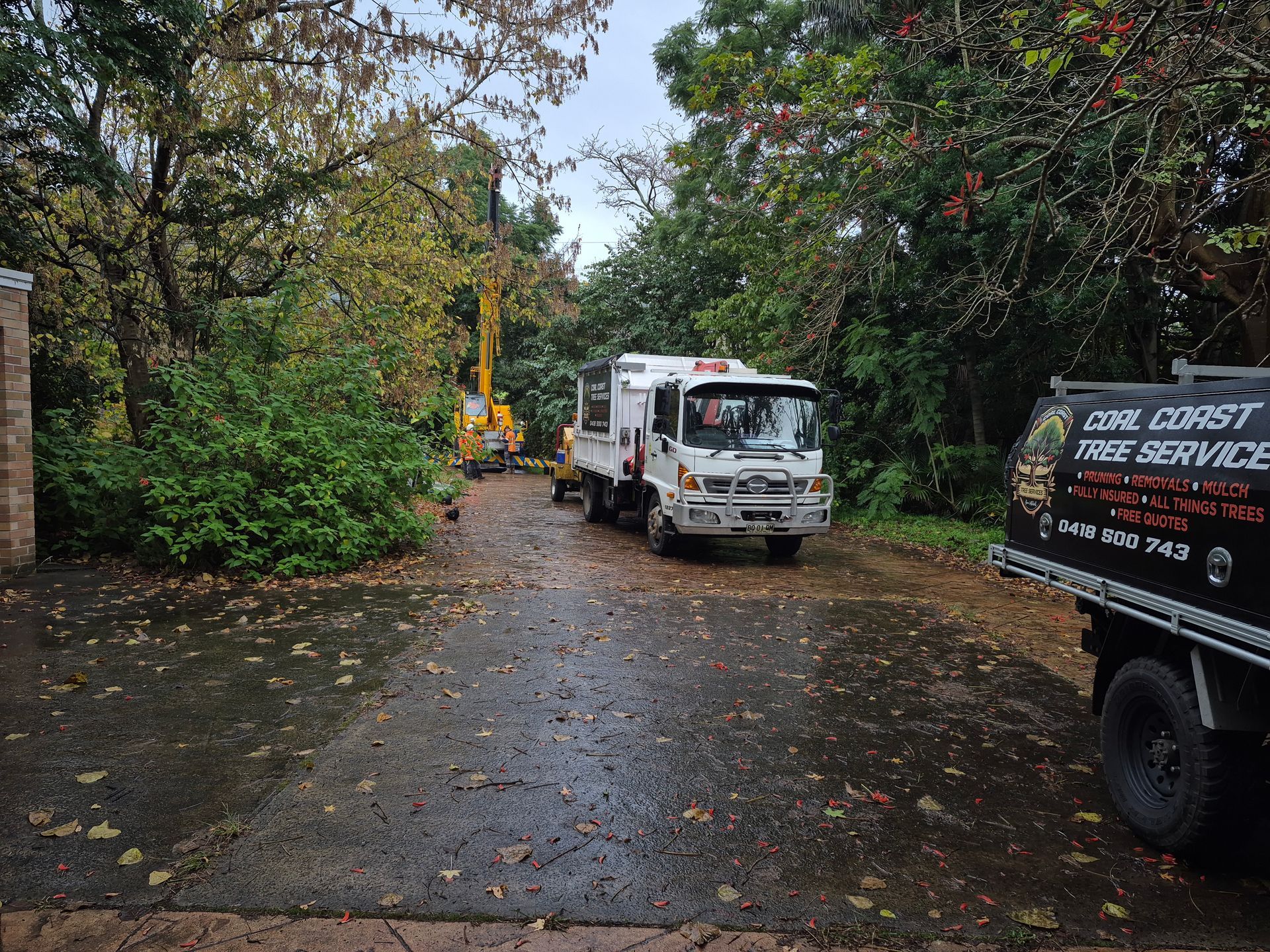 Trucks from Coast Free Service on a driveway, with a tree-trimming lift in use among green trees.