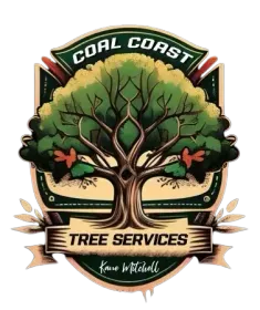 Coal Coast Tree Services | Arborist Wollongong