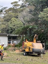 A tree trimmer is in a tall tree against a cloudy sky, using ropes to work on the branches.