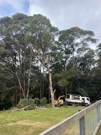Tree being cut down by a worker; a chipper and truck are present on a grassy area.