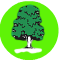 Surrey tree surveys