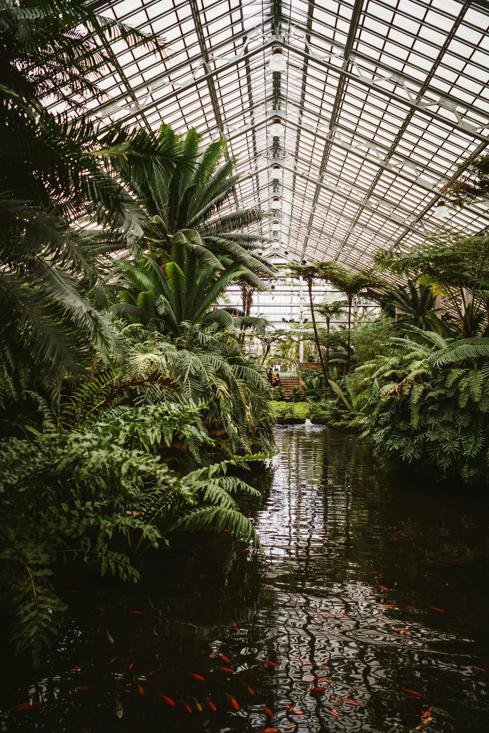 Landscape Design