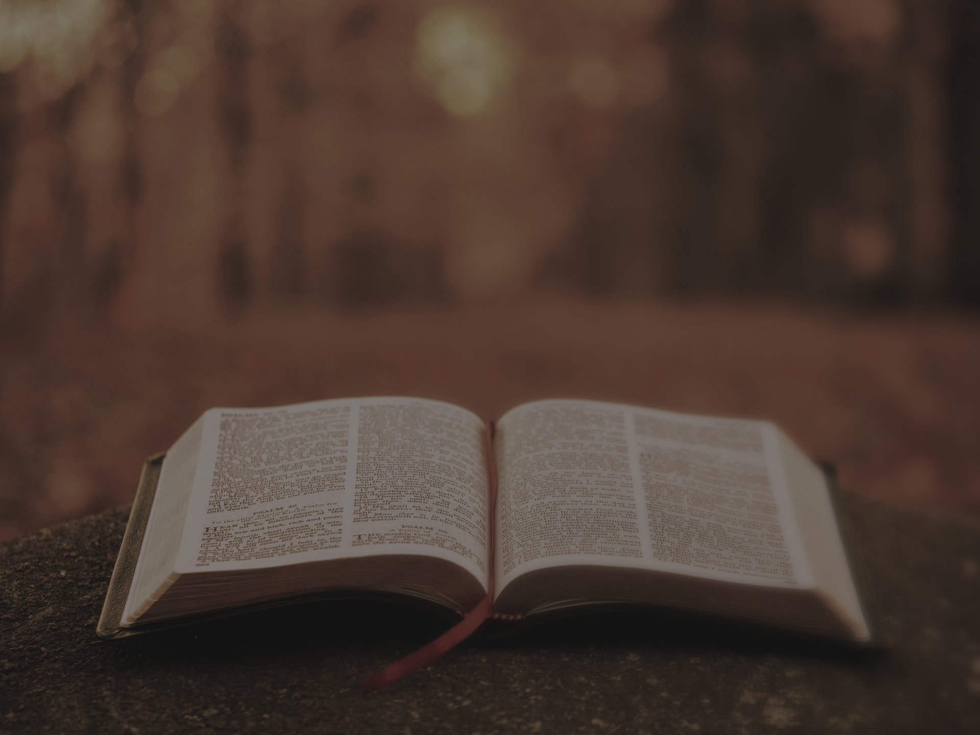 Open book with red bookmark on a stone, forest background.