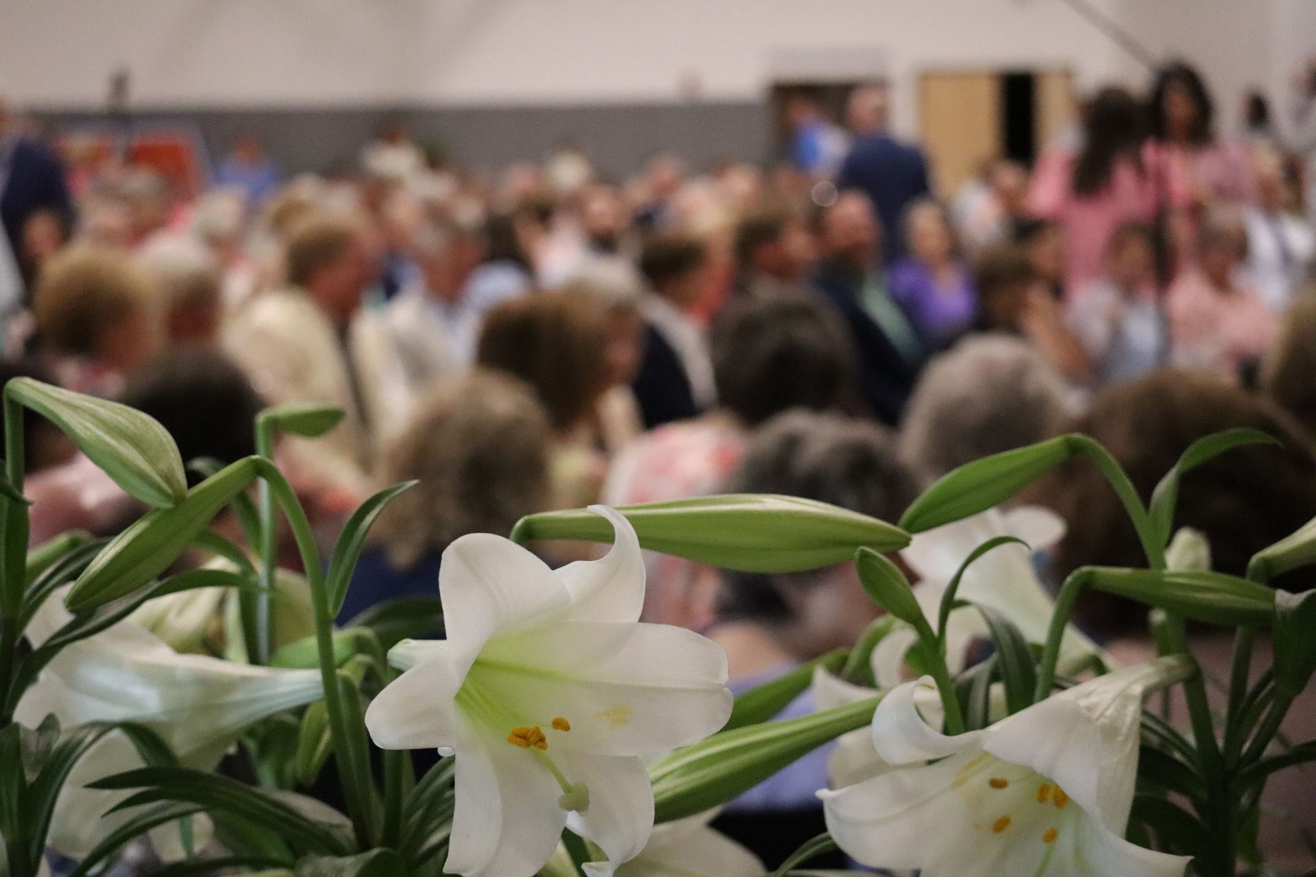 Easter Sunday 2026