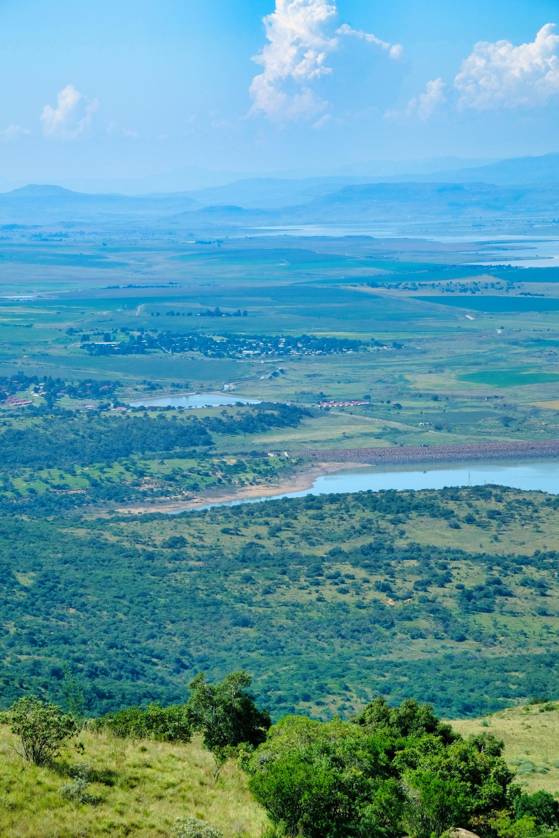 A family is walking a dog down a street in front of a house.