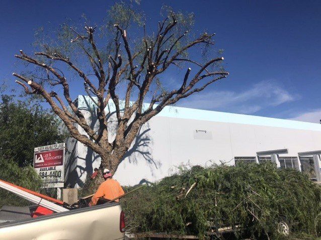 Custom Design Hardscape | San Bernardino, CA | H & R Gardening and Landscaping