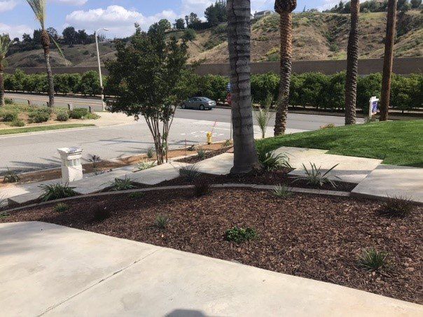 Landscape | San Bernardino, CA | H & R Gardening and Landscaping