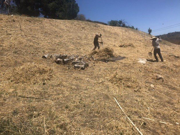 Custom Mulching | San Bernardino, CA | H & R Gardening and Landscaping