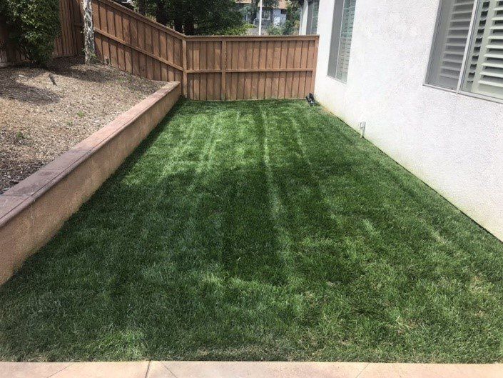 Installation Bush | San Bernardino, CA | H & R Gardening and Landscaping