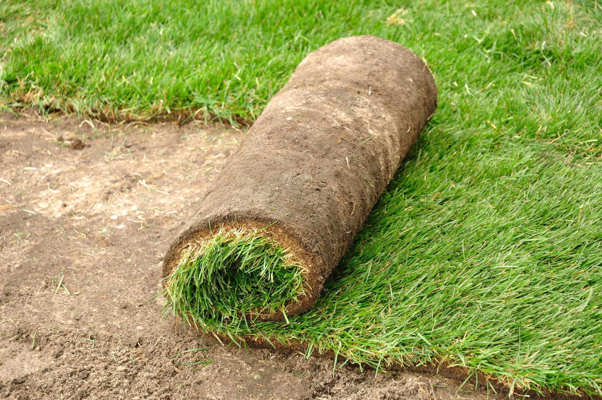 Sod Installation | H & R Gardening and Landscaping