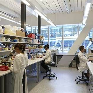 People in a modern lab, working with equipment. Sunny window, white coats, and equipment.