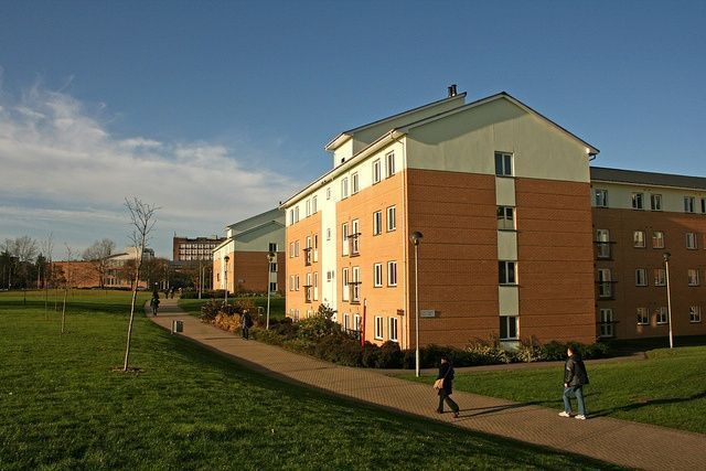 Multi-story brick student housing with pathway, green grass, and blue sky.