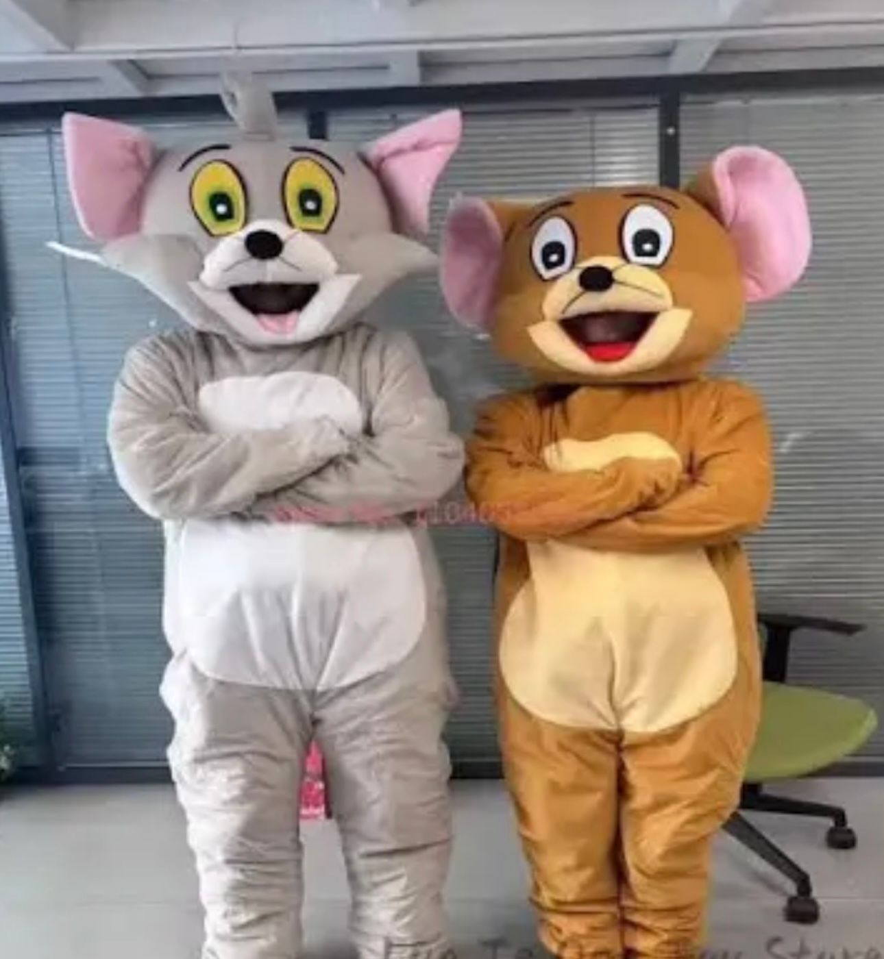 Zwei als Tom und Jerry verkleidete Personen stehen mit verschränkten Armen nebeneinander.
