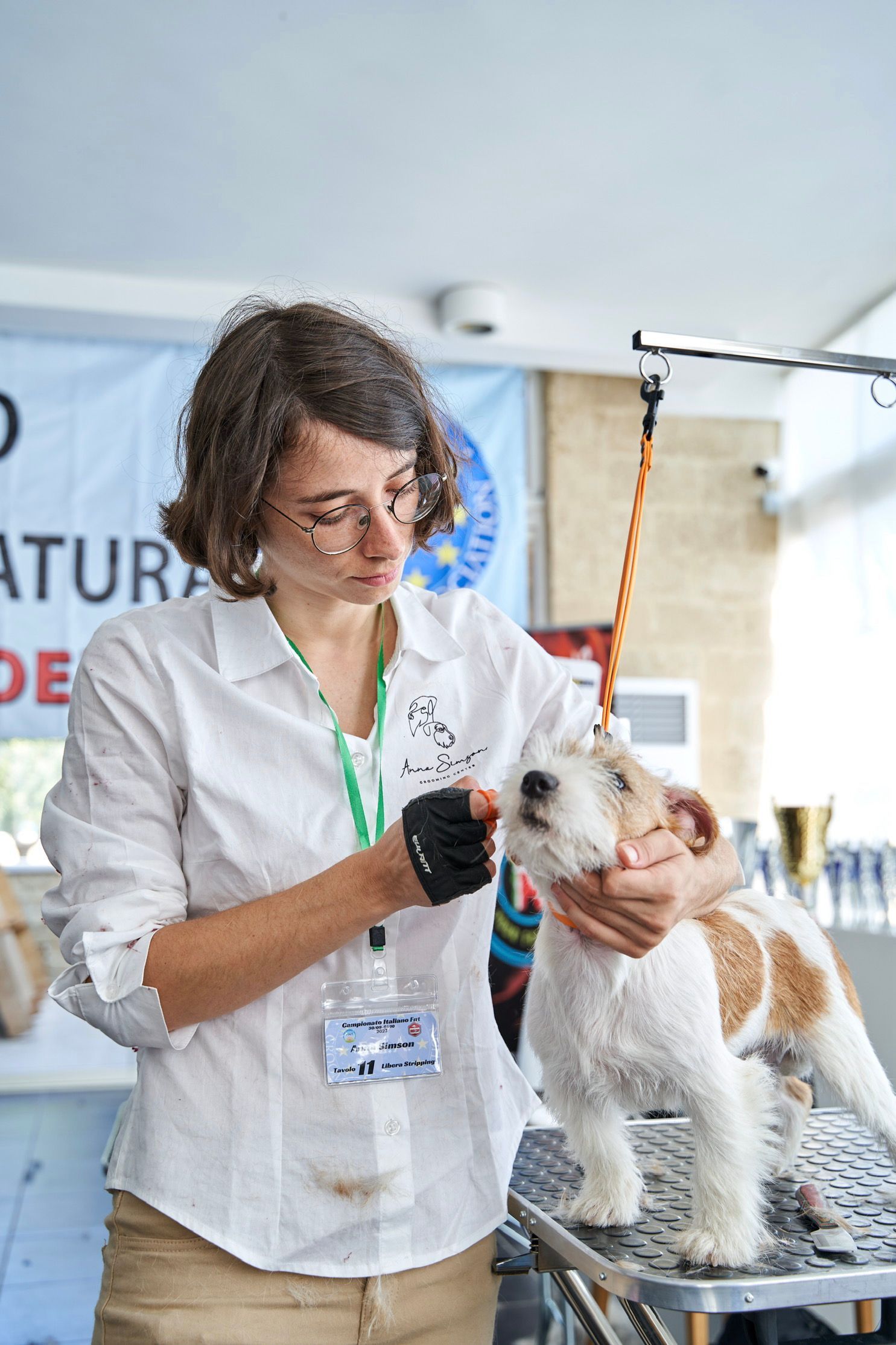 Donna con camicia bianca che si prende cura di un cagnolino bianco e marrone seduto a un tavolo.