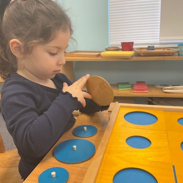 Montessori knobbed cylinders