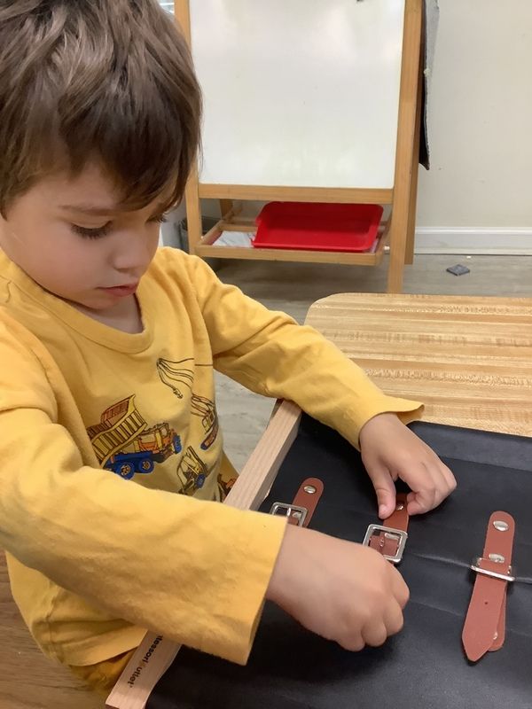 Child working with the Montessori tree of life material