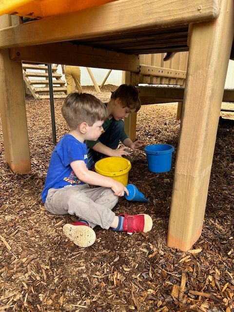 Children participating in an outdoor activity