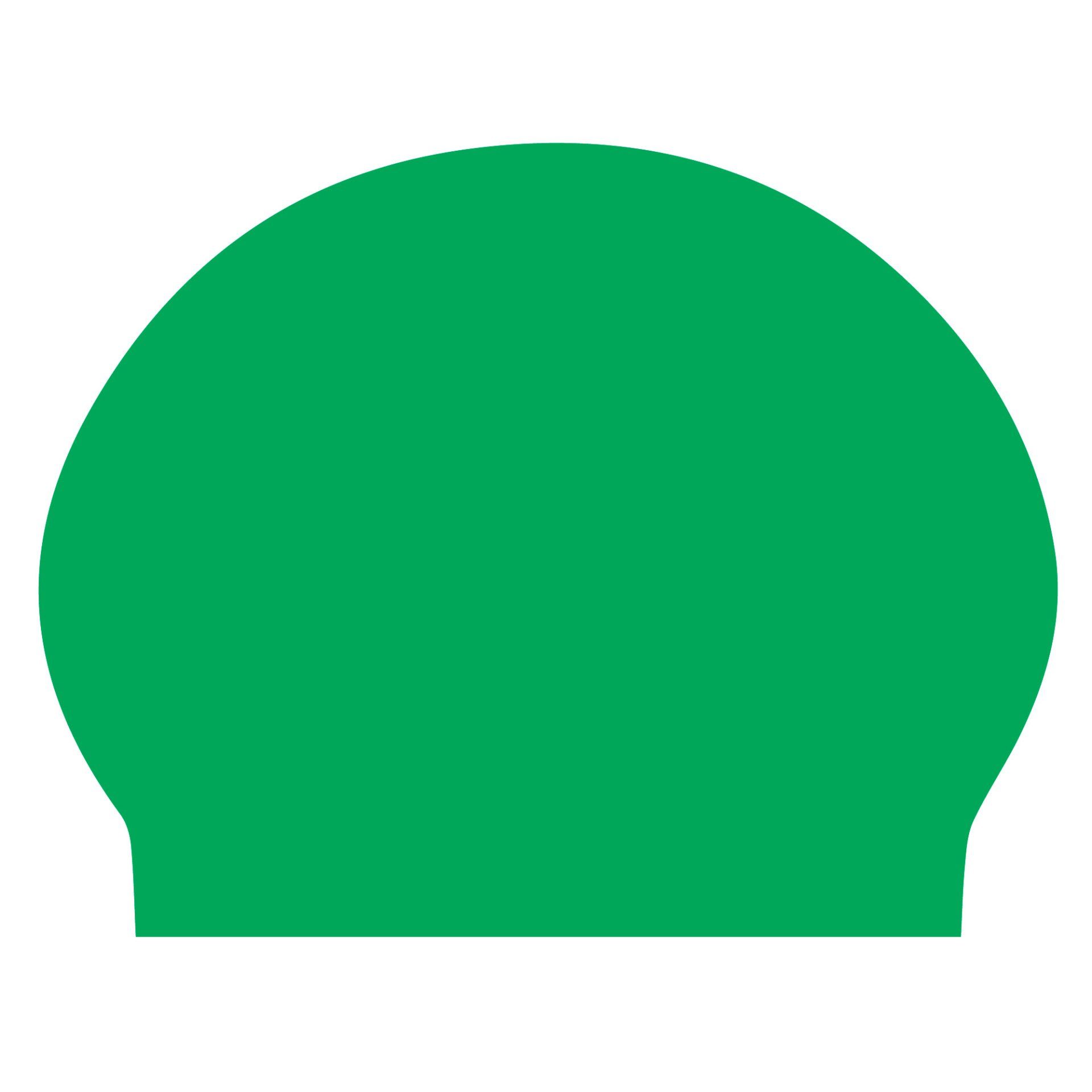 A green swimming cap is shown on a white background.