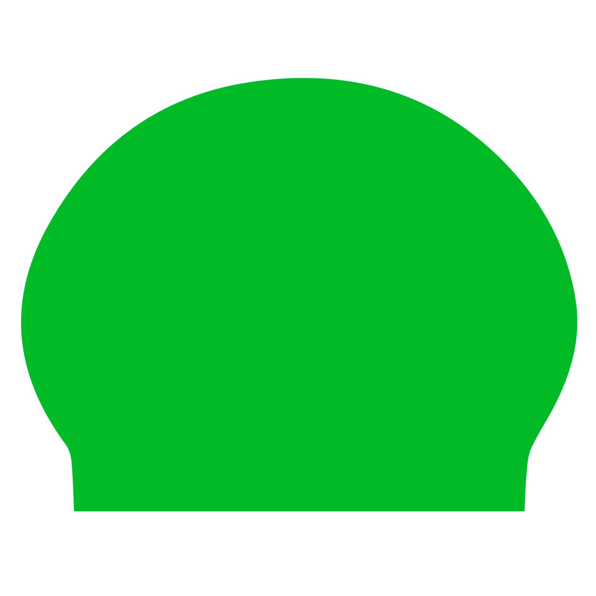 A green swimming cap is shown on a white background.