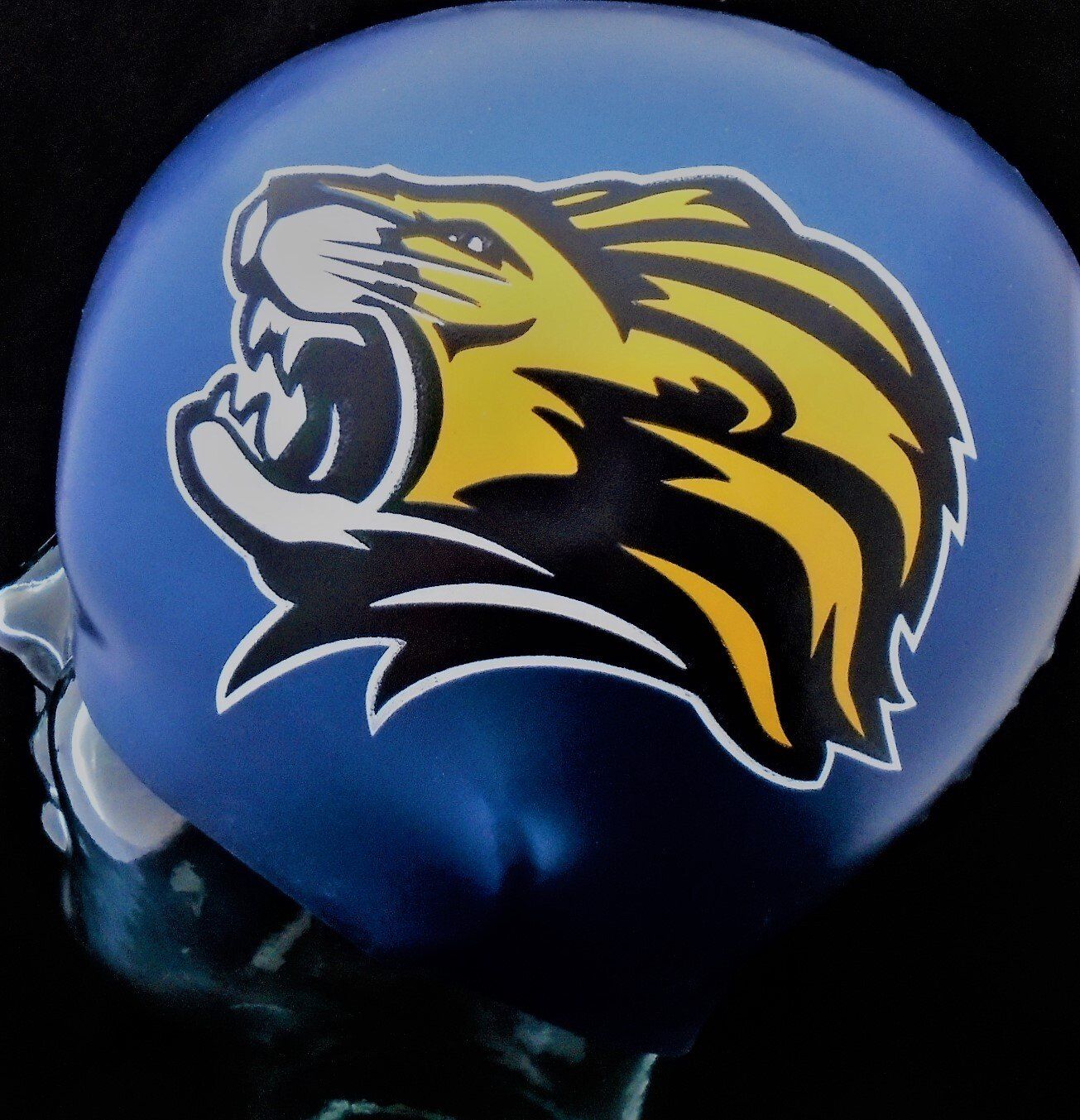 A blue helmet with a yellow and black lion on it