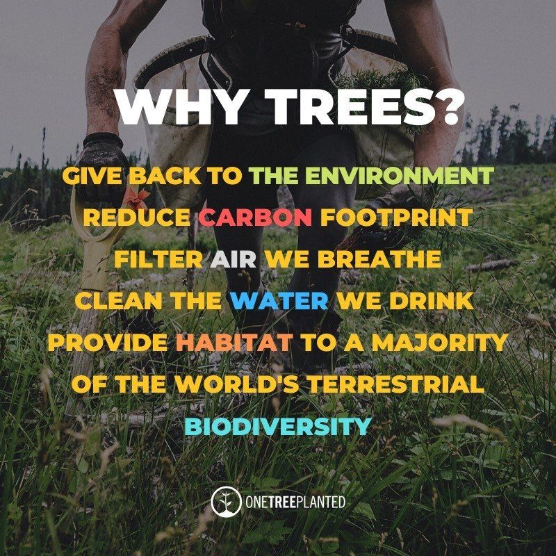 A poster that says why trees give back to the environment