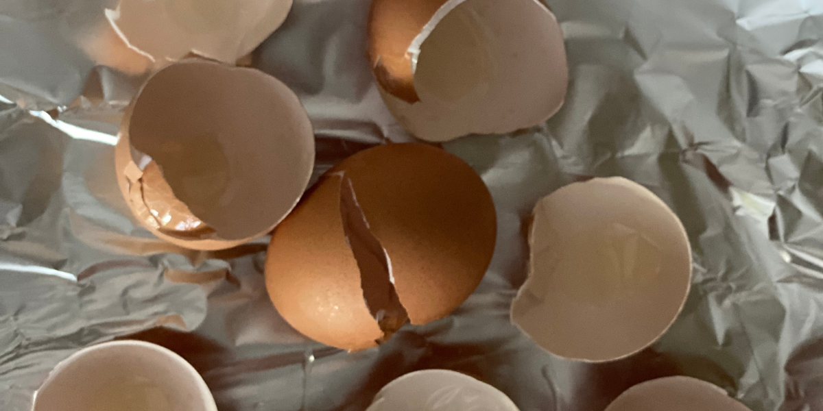 Egg shells on crumpled aluminum foil.